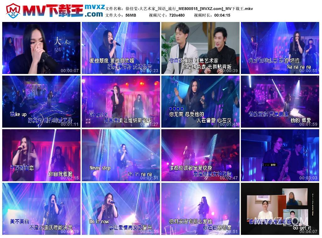 徐佳莹-大艺术家_国语_流行_ME800515